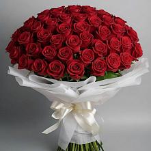 Букет 101 Красная роза Блэк Мэджик #REPLACE_PRED# Мамонтово Алтайский край