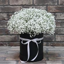 Цветочная композиция из Гипсофила в шляпной коробке #REPLACE_PRED# Мамонтово Алтайский край