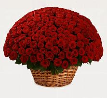 Премиум букет из: Розы в Мамонтово Алтайский край