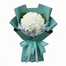Букет цветов из:  Гортензия #REPLACE_PRED# Мамонтово Алтайский край